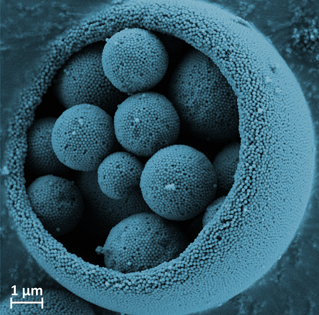 Nanostrukturierte Mikropartikel hergestellt durch Sprühtrocknung.