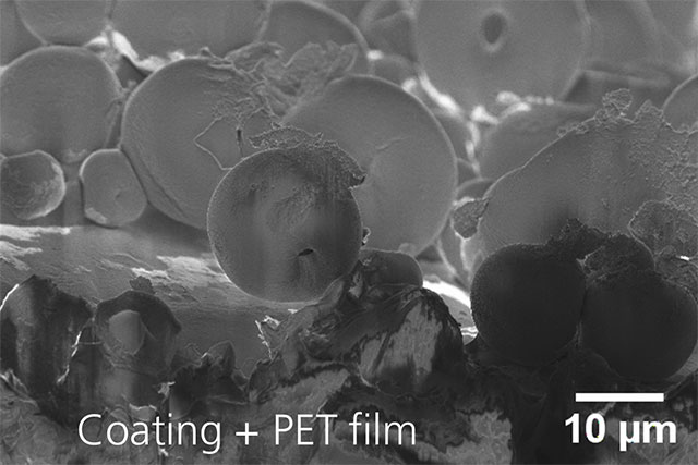 Electron microscopy image of carrier particles on a polymer substrate.