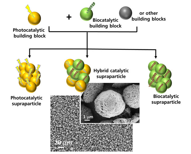 Project ILLUMINATE: Photochemical-assisted biocatalysis